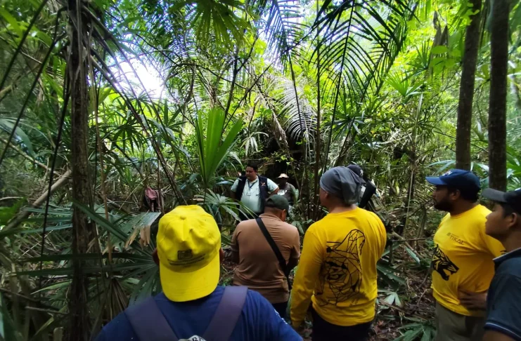 ADN podría revelar si osamenta hallada en Tikal es de turista desaparecido en 2023