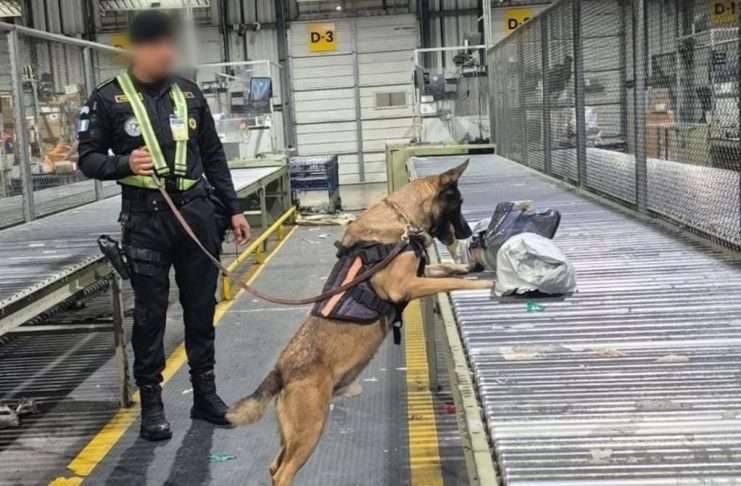 SGAIA incauta cargamentos de marihuana procedentes de EE. UU. en dos operativos antinarcóticos SGAIA incauta cargamentos de marihuana procedentes de EE. UU. en dos operativos antinarcóticos