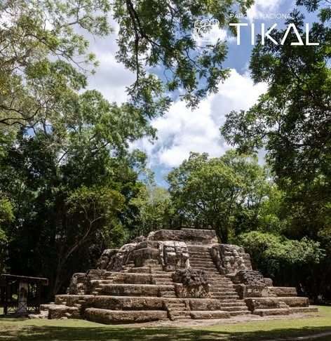 Tikal aclara qué ocurrió con los tucanes tras viralización de imágenes