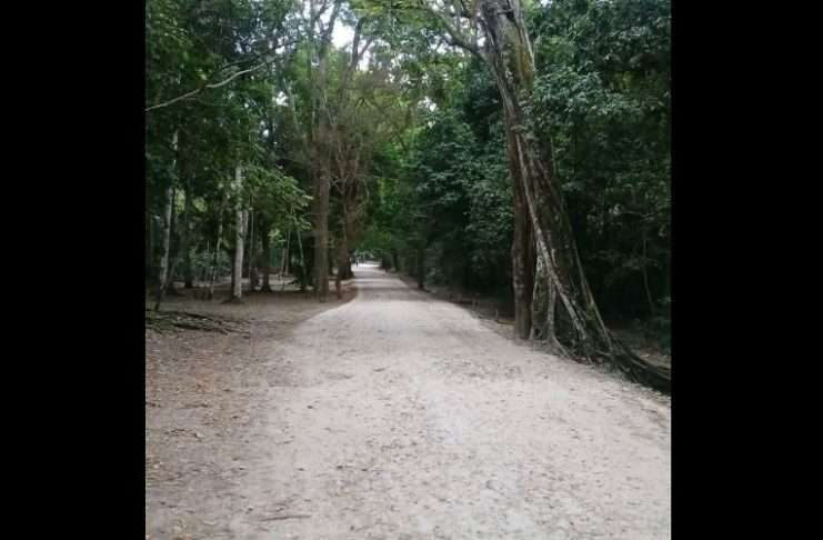 Localizan sanos y salvos a tres estudiantes desaparecidos en Tikal.